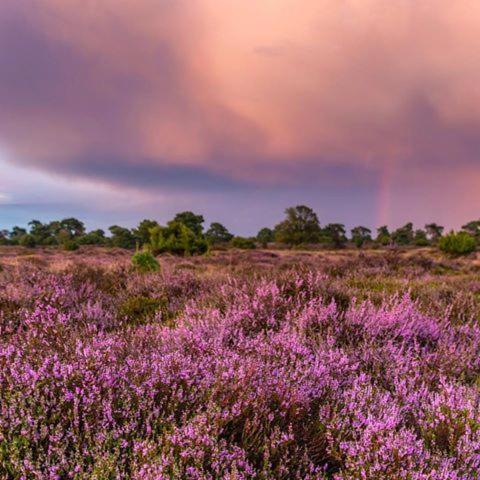 B&B De Panheide Hooghalen エクステリア 写真