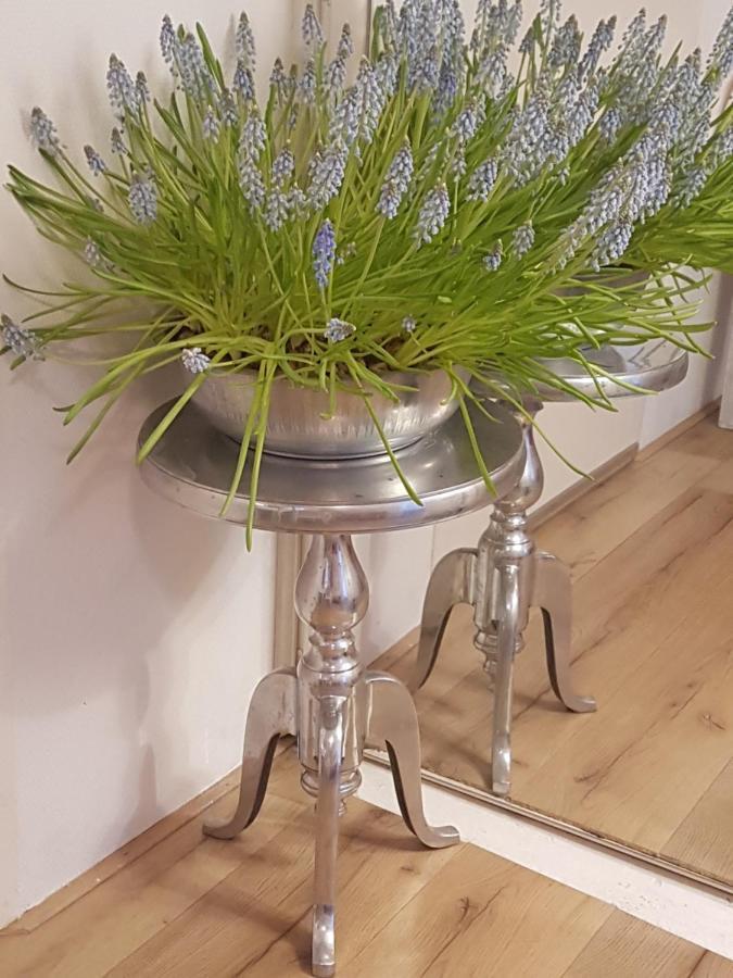 B&B De Panheide Hooghalen エクステリア 写真