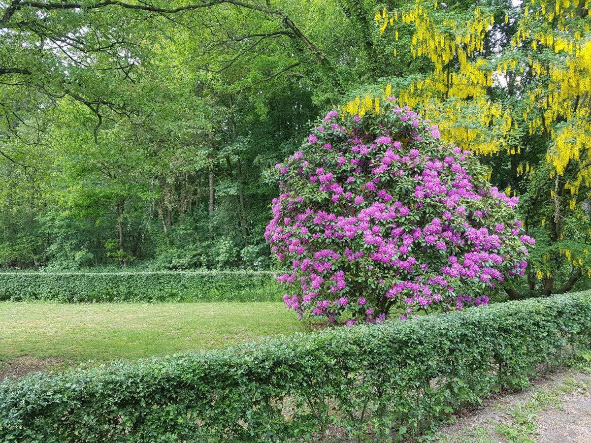 B&B De Panheide Hooghalen エクステリア 写真