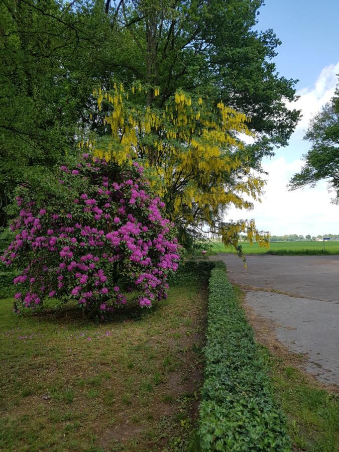B&B De Panheide Hooghalen エクステリア 写真